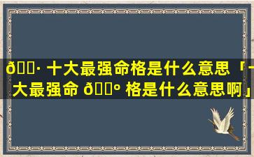 🌷 十大最强命格是什么意思「十大最强命 🐺 格是什么意思啊」